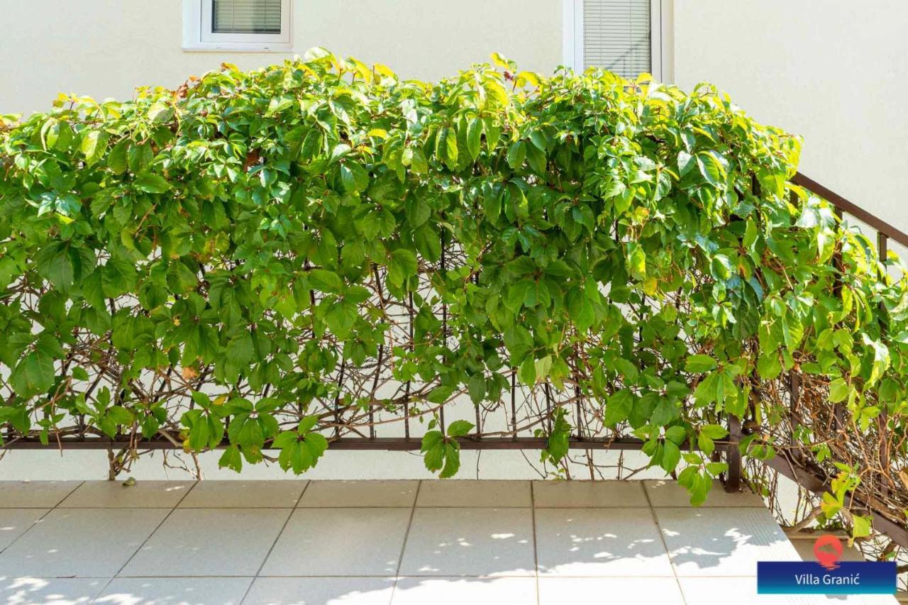 Villa Granic بروماجنا المظهر الخارجي الصورة